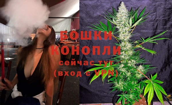 спайс Алексин