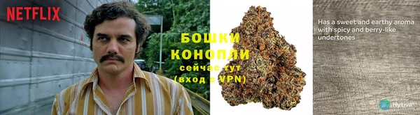 спайс Алексин