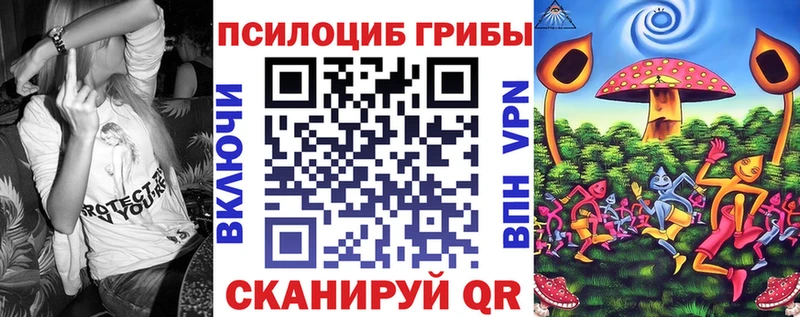 как найти закладки  Нововоронеж  Псилоцибиновые грибы Psilocybe 